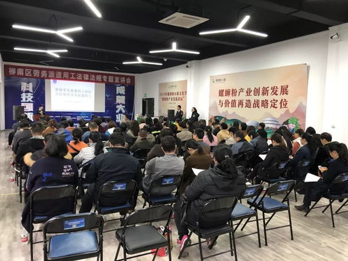 柳南區(qū)舉辦勞務(wù)派遣用工法律法規(guī)專題宣講會，助力互聯(lián)網(wǎng)信息服務(wù)行業(yè)規(guī)范發(fā)展