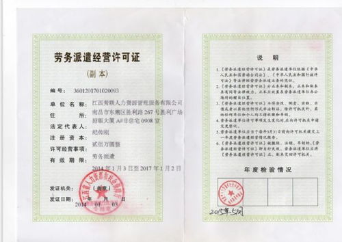 社保繳納類型詳解 個人與公司社保的險種差異及互聯(lián)網(wǎng)信息服務(wù)